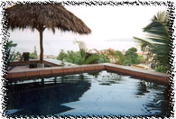 Vista Bandera Pool & Patio Palapa Bar